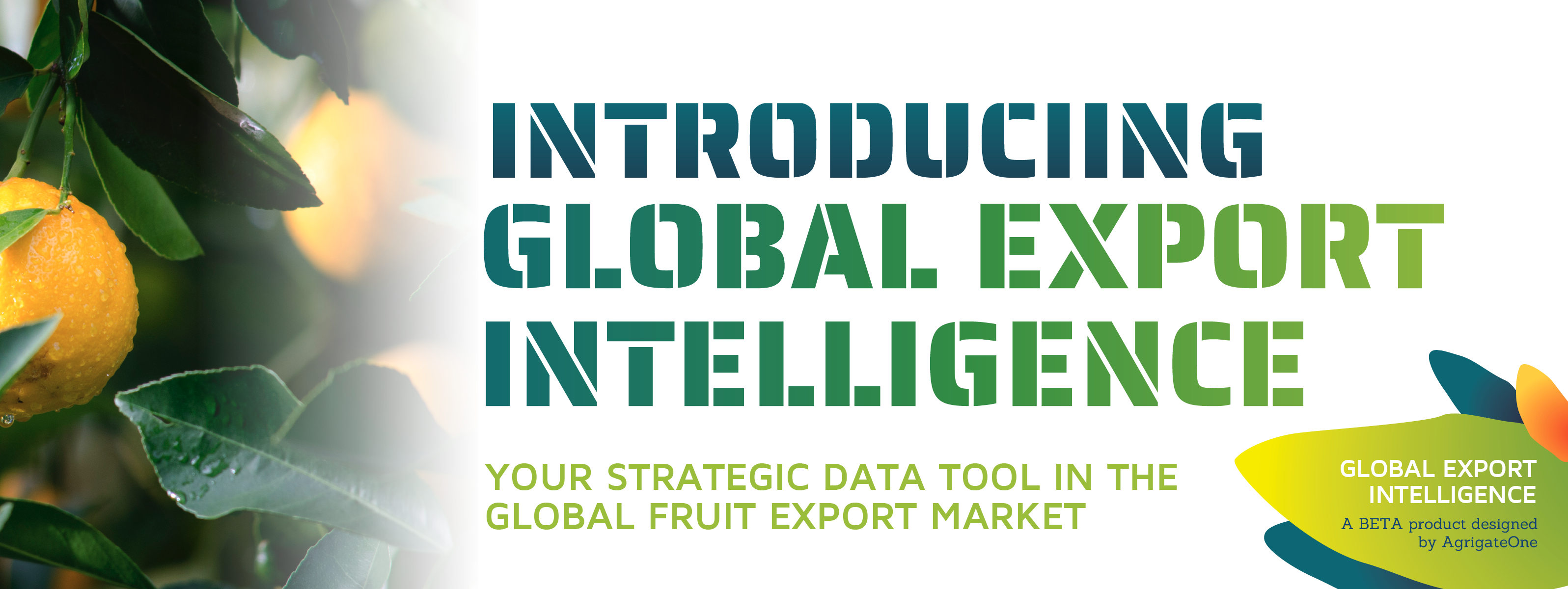 Global Export Intelligence